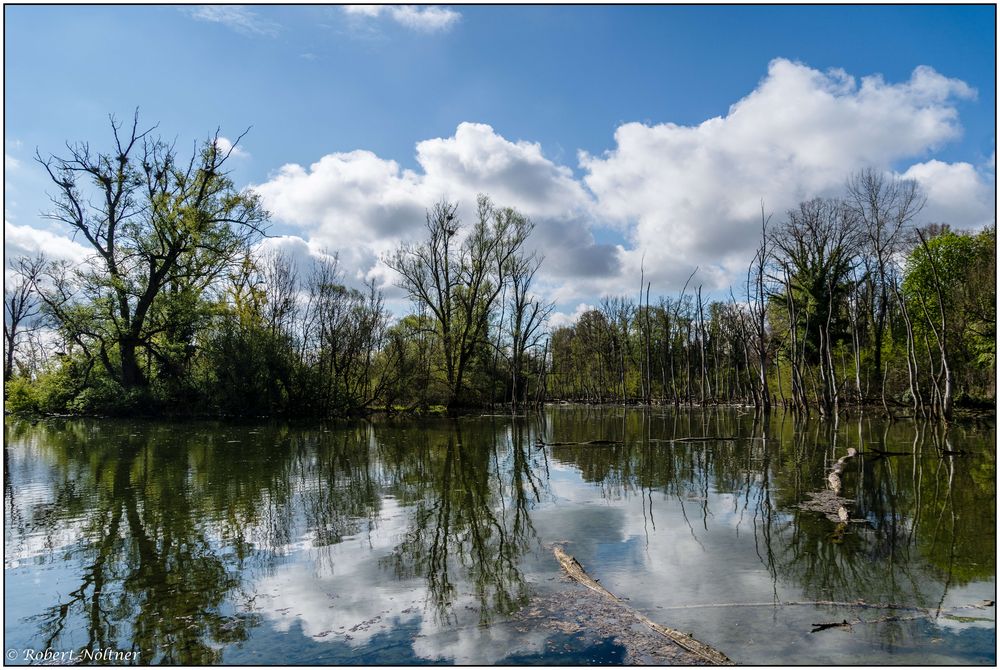 Seen und Teiche Foto & Bild europe, france, landschaft Bilder auf