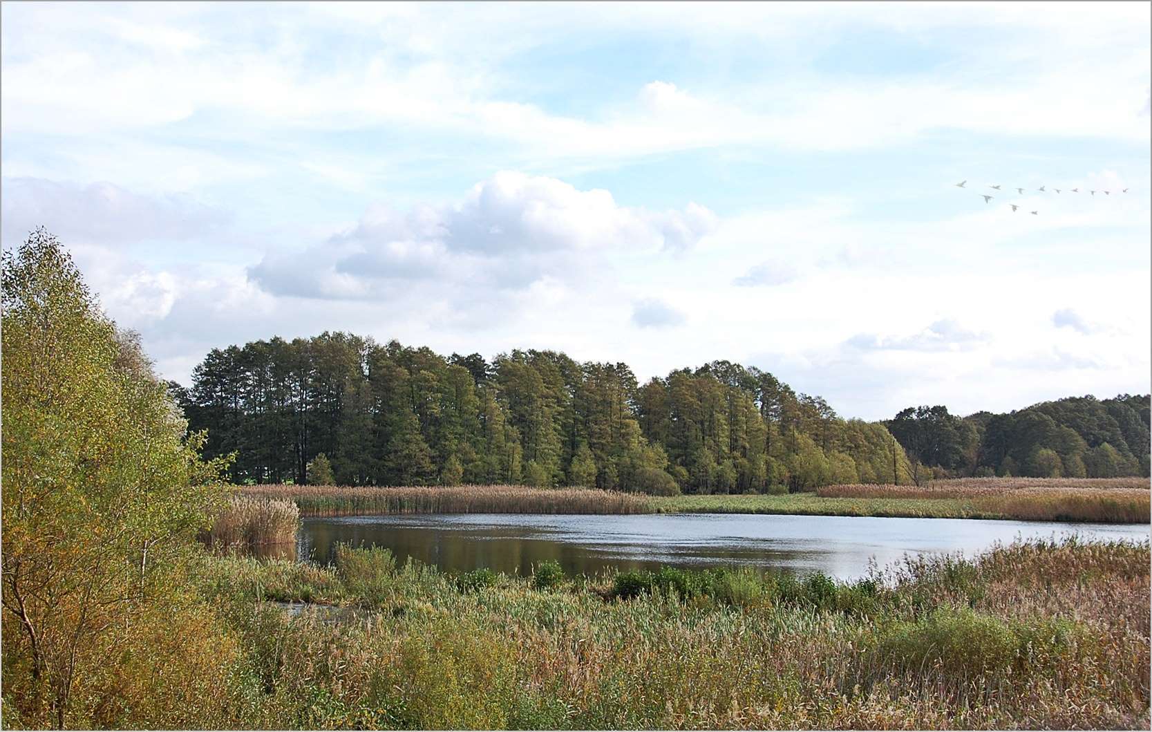 Seen, Wald und märkischer Sand -