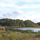 Seen, Wald und märkischer Sand -