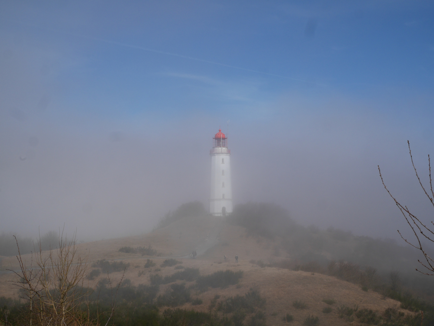 Seenebel auf Hiddensee