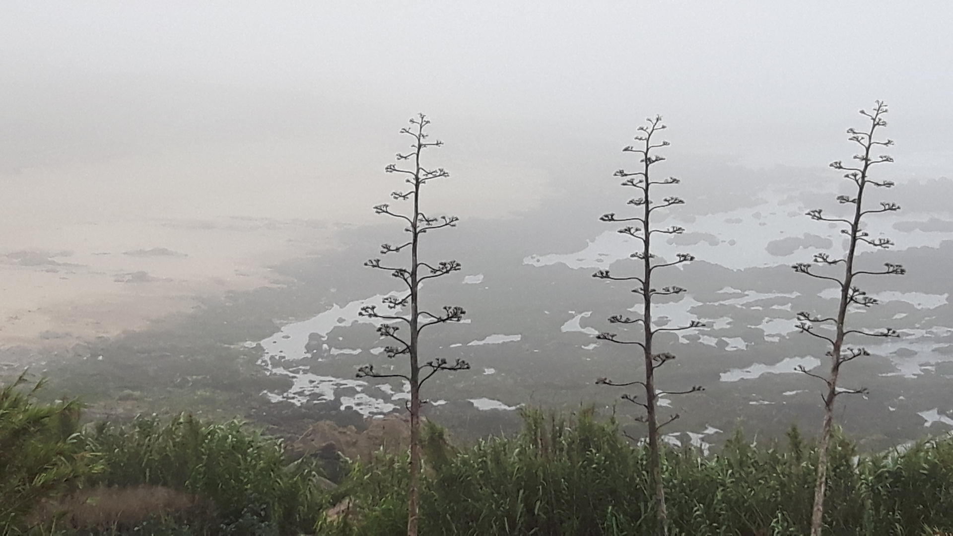 Seenebel in Portugal