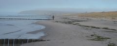 Seenebel löst sich auf . Insel Hiddensee 