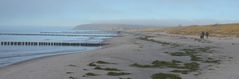 Seenebel löst sich auf . Insel Hiddensee 