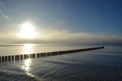 Seenebel löst sich auf . Insel Hiddensee 