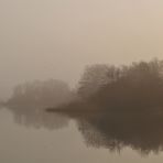 Seenebel – mit drei Graugänsen