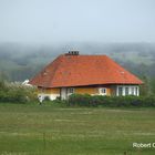 Seenebel umhüllt Kloster Hiddensee