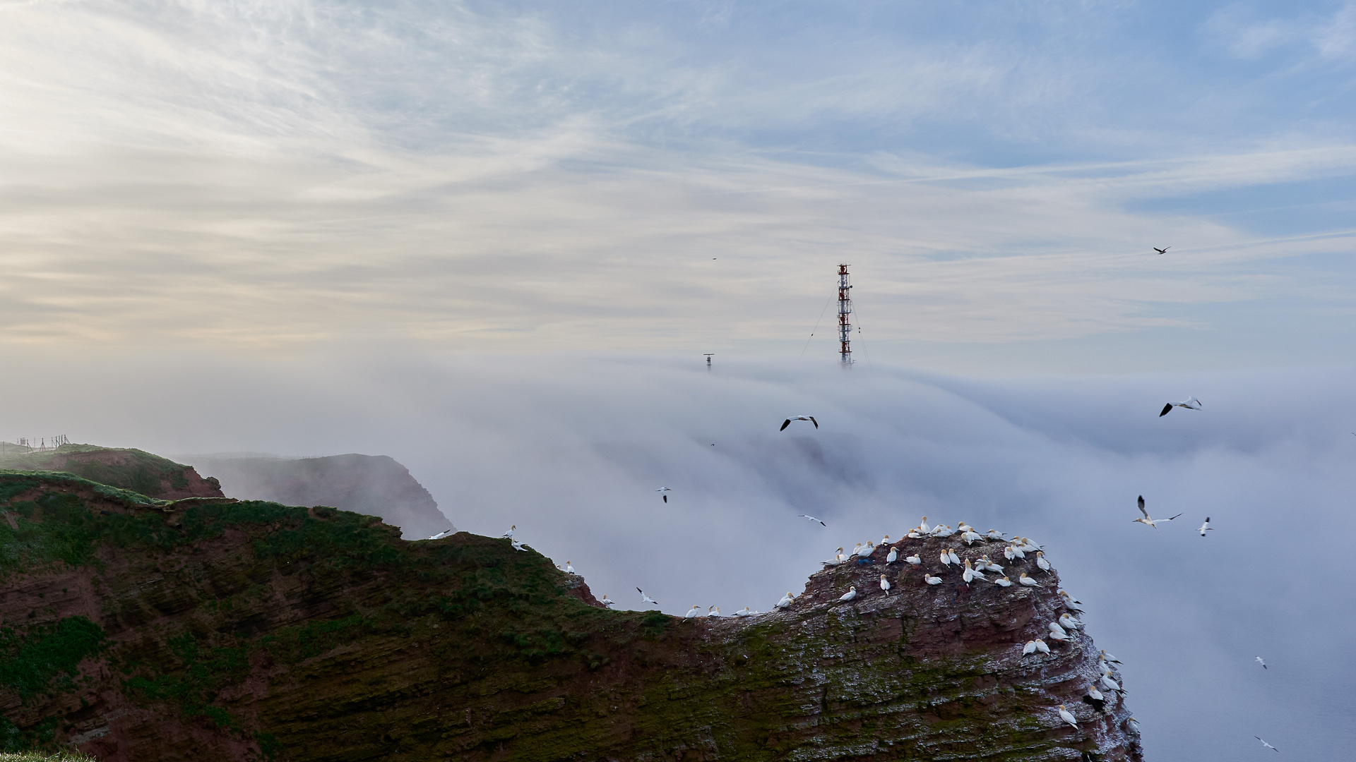 Seenebel zwischen den Klippen von Helgoland