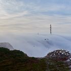 Seenebel zwischen den Klippen von Helgoland