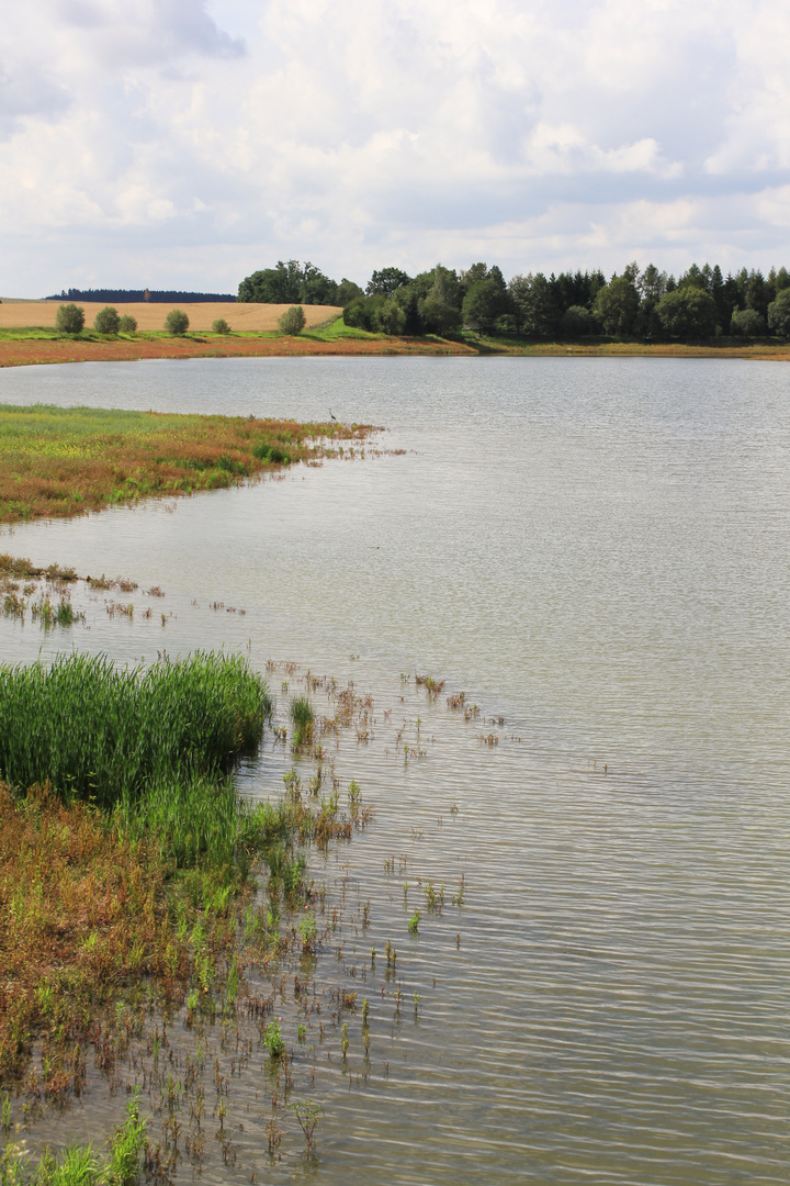 Seenlandschaft