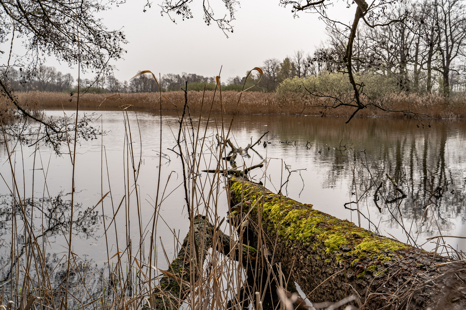 Seenlandschaft