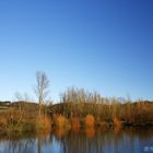 Seenlandschaft der Weser im Spätherbst