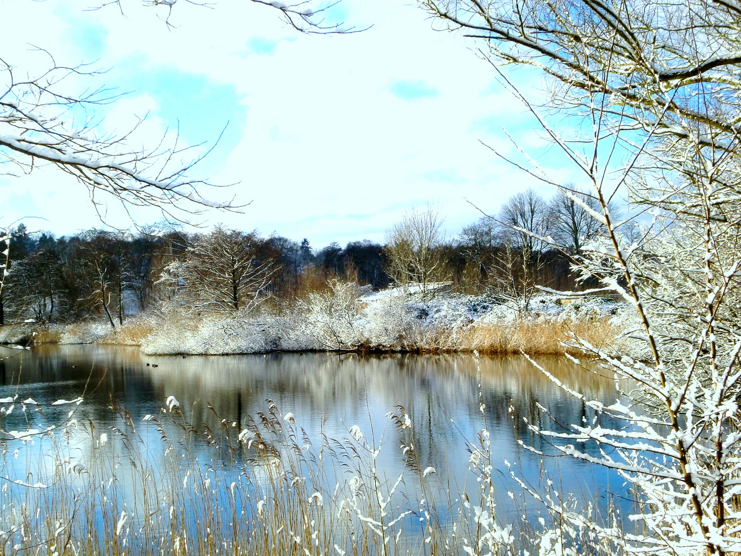 Seenlandschaft im Müritz-Nationalpark