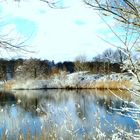 Seenlandschaft im Müritz-Nationalpark