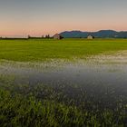 "Seenlandschaft" - Kochelmoor