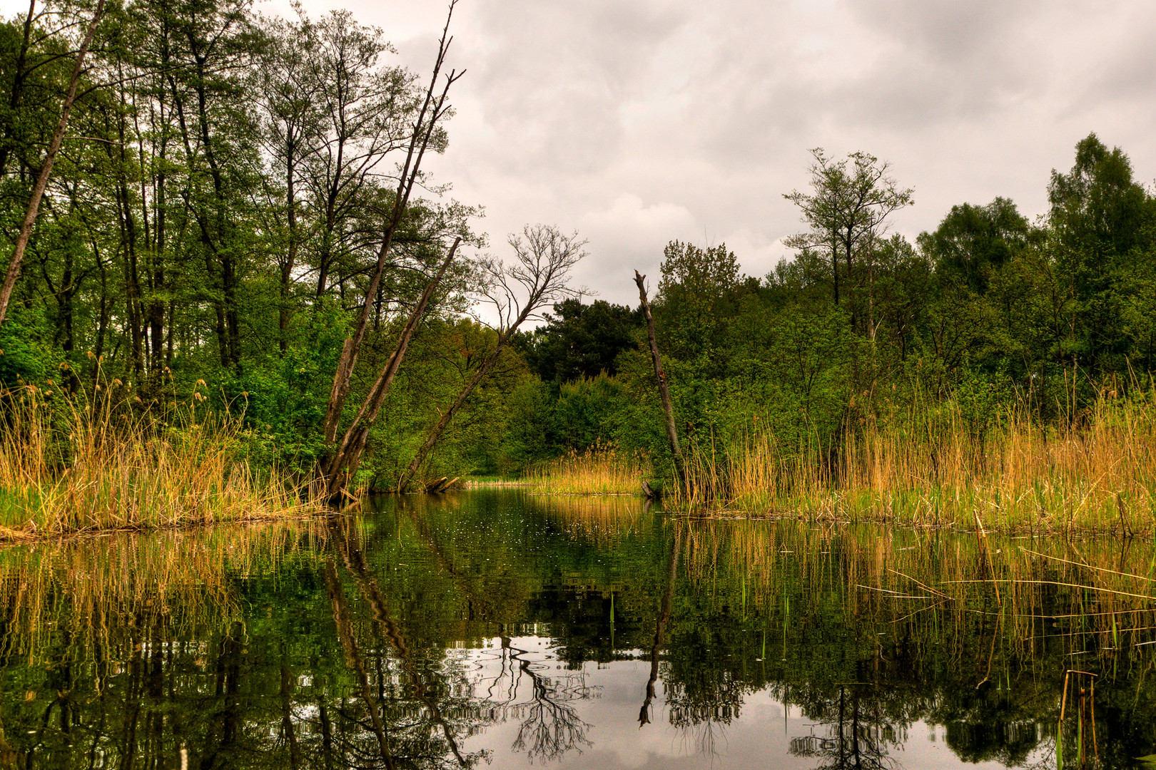 Seenplatte