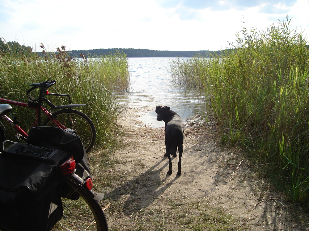 Seenplatte bei Rheinsberg