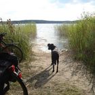 Seenplatte bei Rheinsberg