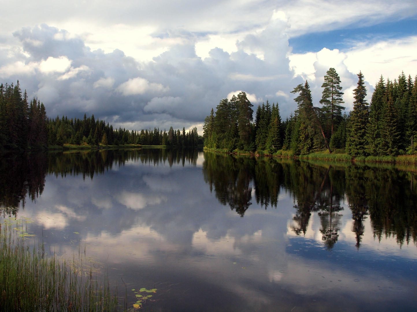 Seenreiche Waldlandschaft in Värmland