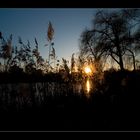 Seepark, Freiburg