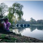 [seepark freiburg -fruehjahrserwachen]