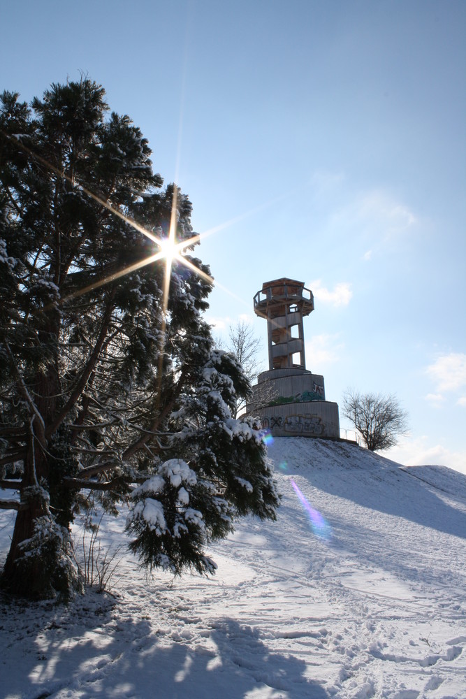 Seepark im Winter