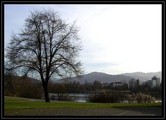 Seepark in Freiburg