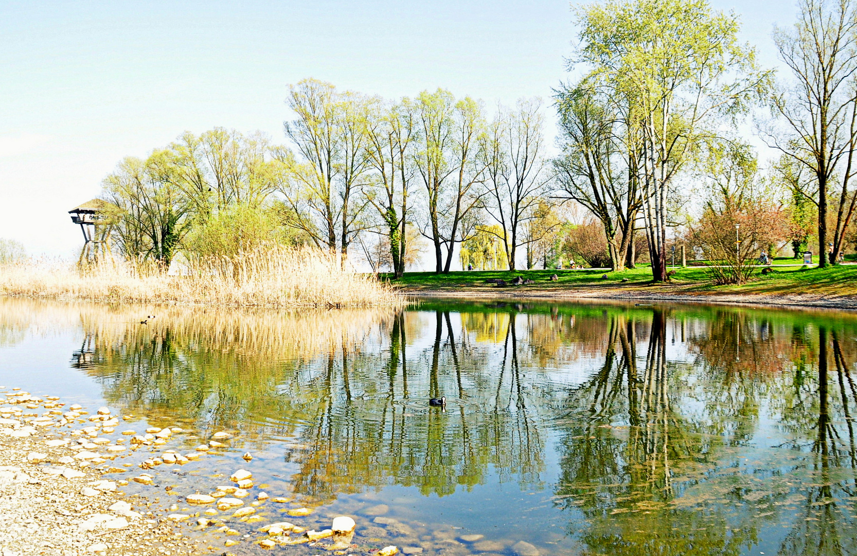 SEEPARK SCHWEIZ