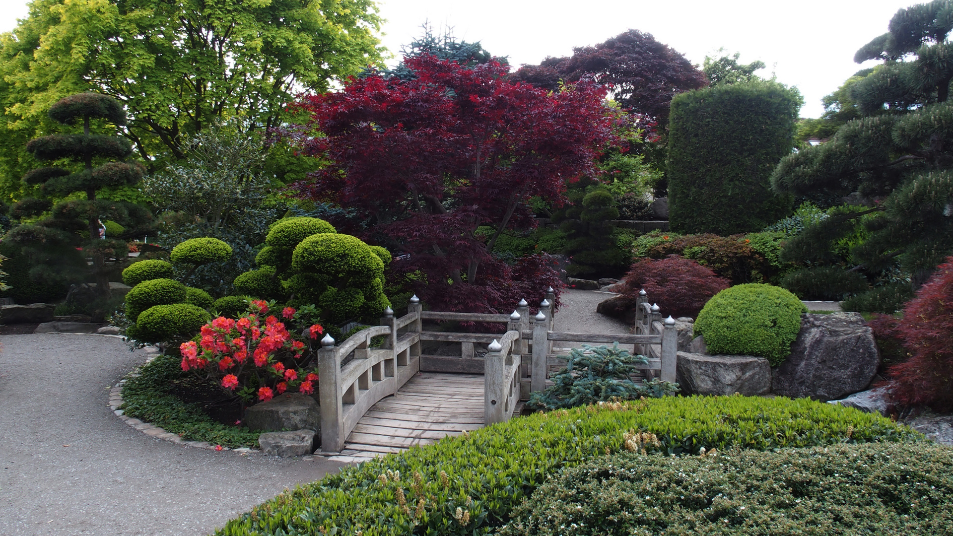 Japanischer Garten Freiburg seepark freiburg japanischer garten foto bild natur Japanischer Garten Freiburg seepark freiburg japanischer garten foto bild natur