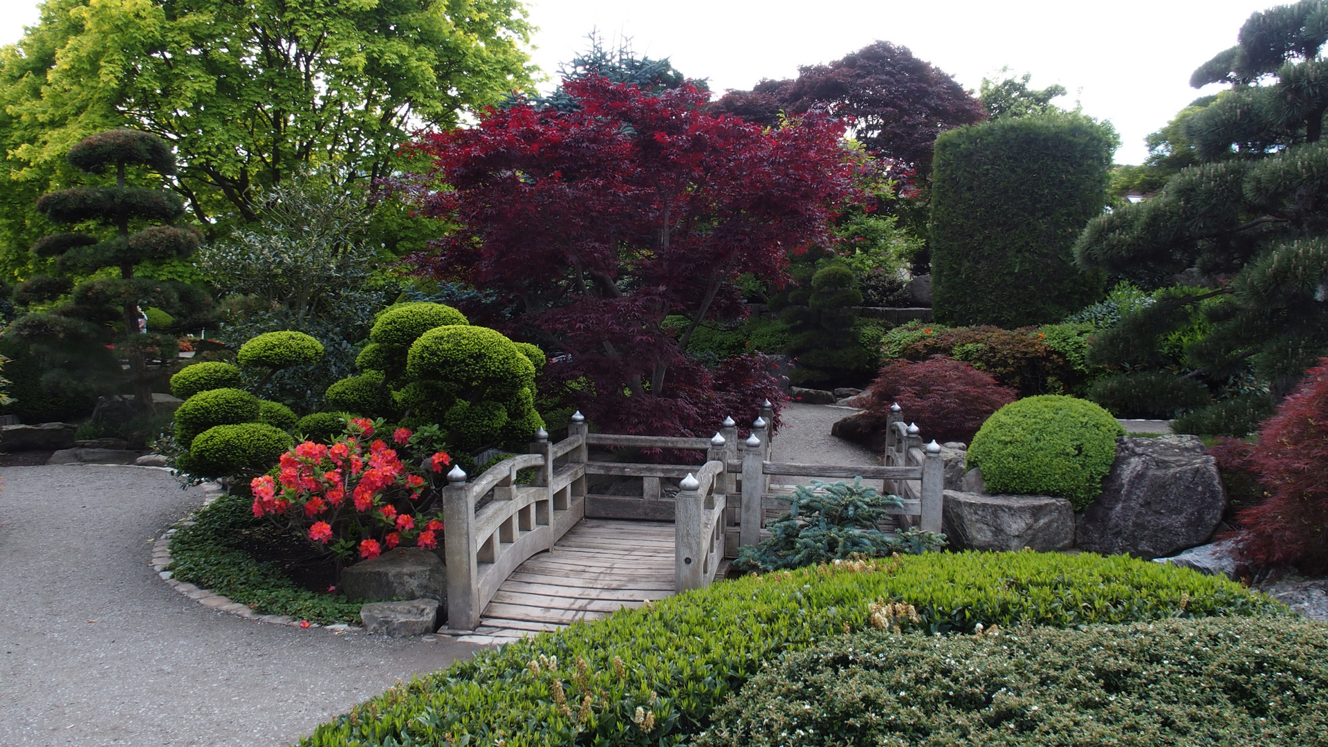 Seepark,Freiburg,Japanischer Garten