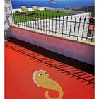 Seepferdchen Meer Farbe Reise GR p30-44-col +Reisefotos