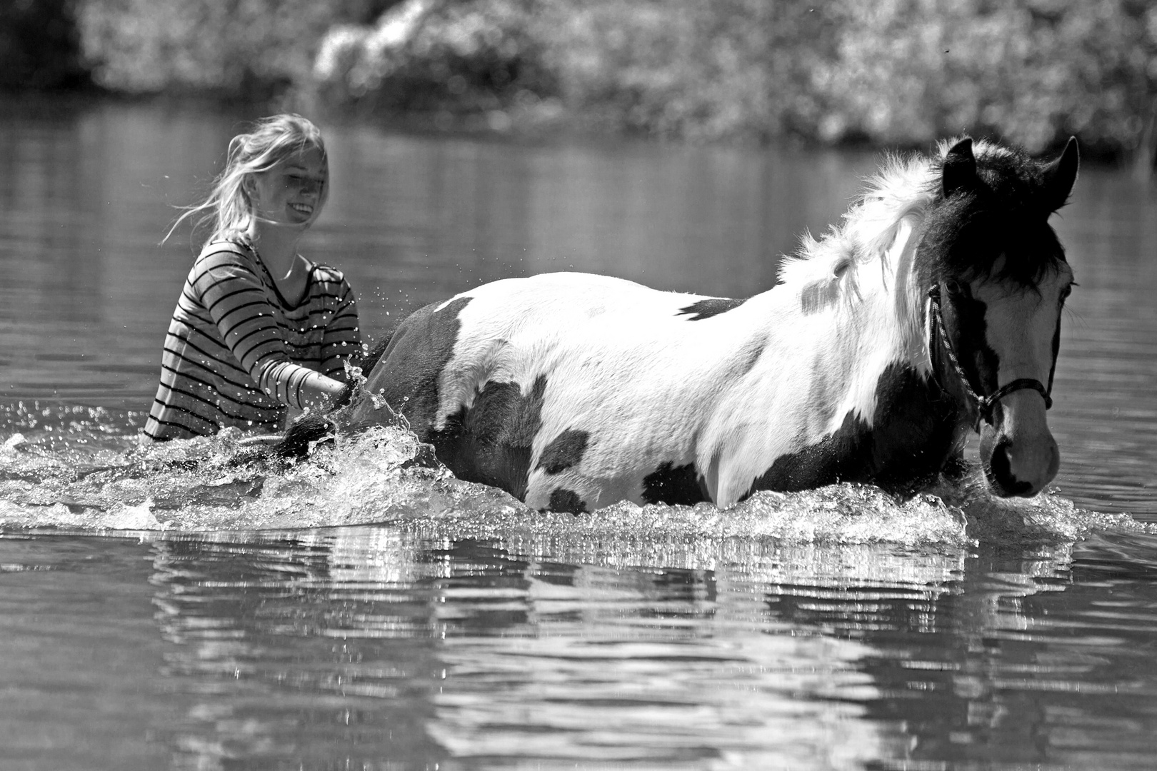 Seepferdchen / oder zu langsam für Wasserski