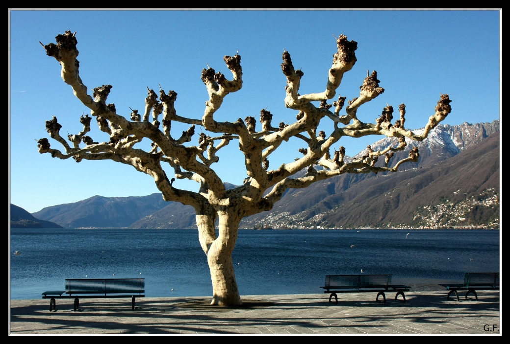 Seepromenade Ascona