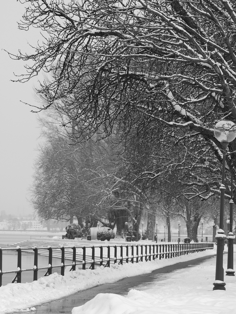 Seepromenade Bregenz