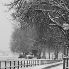 Seepromenade Bregenz