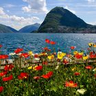 Seepromenade im Frühling