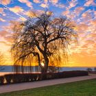 Seepromenade im Sonnenuntergang