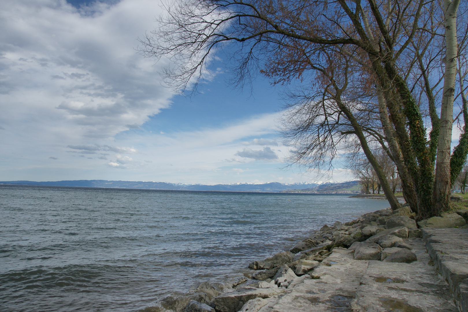 Seepromenade in Arbon im Frühling