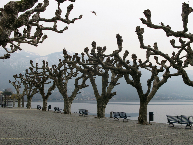 Seepromenade in Ascone in Erwartung des Frühlings