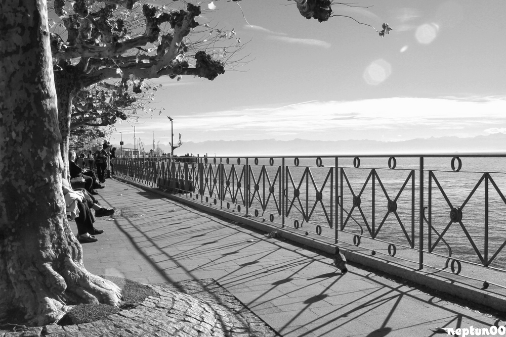 Seepromenade Meersburg