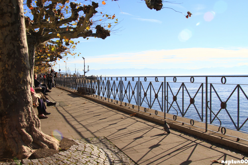 Seepromenade Meersburg im Herbst