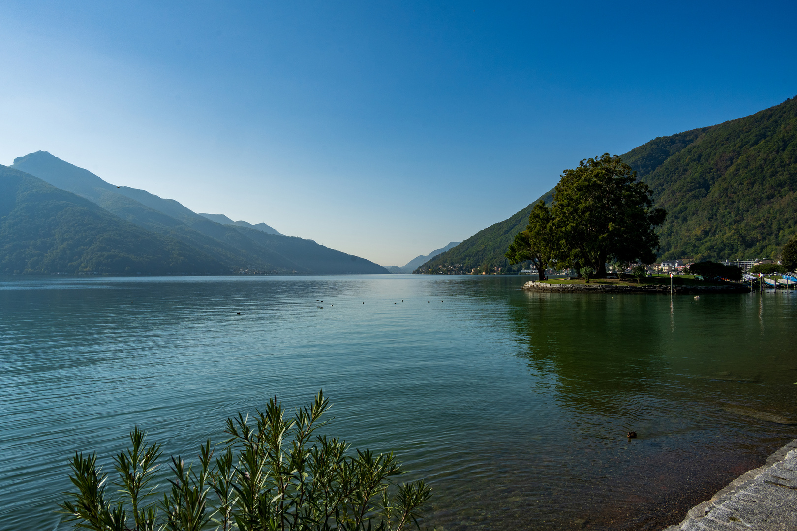 Seepromenade Melide 1