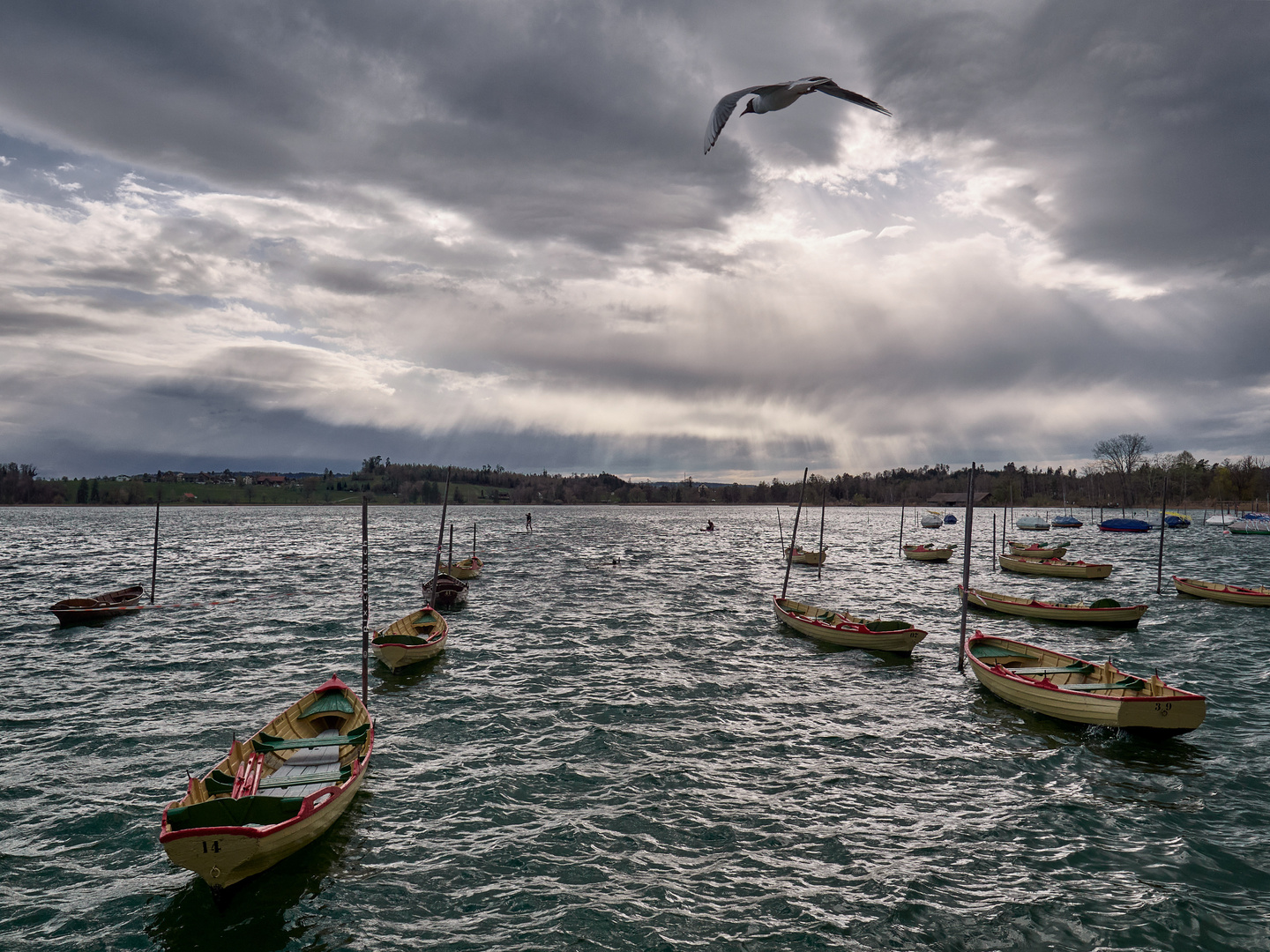 Seequai am Pfäffikersee