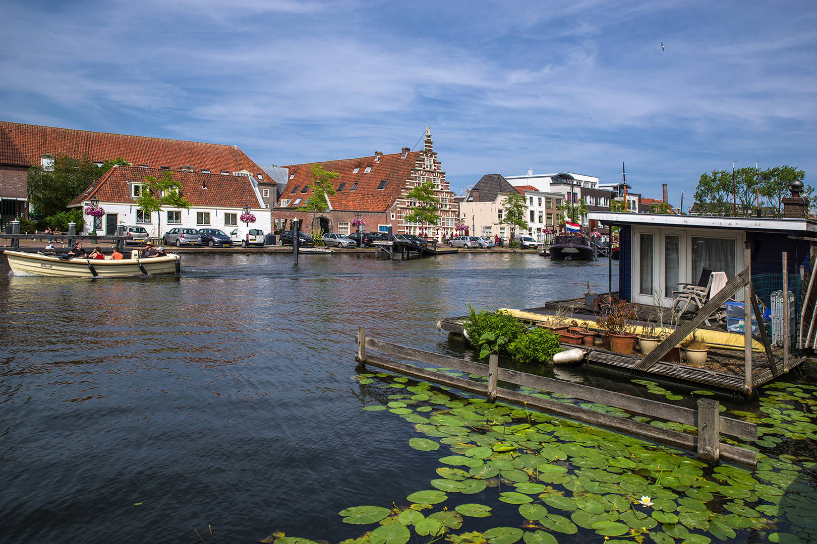Seerosen im Foto & Bild holland, world, leiden Bilder auf