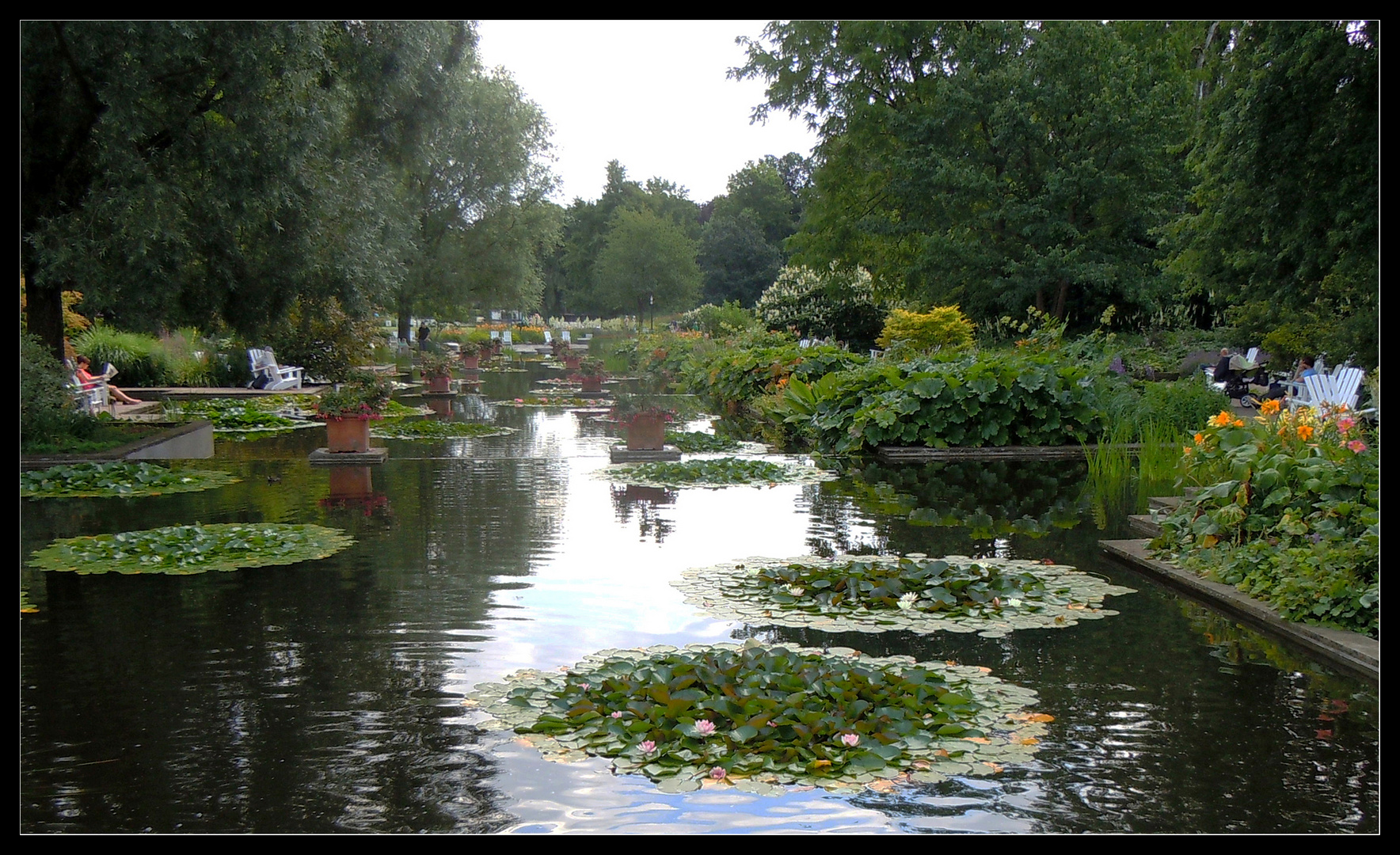 Seerosen-Inseln in Planten un Blomen