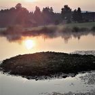 Seerosenbeleuchtung  im Nebeldunst 24.8.2019