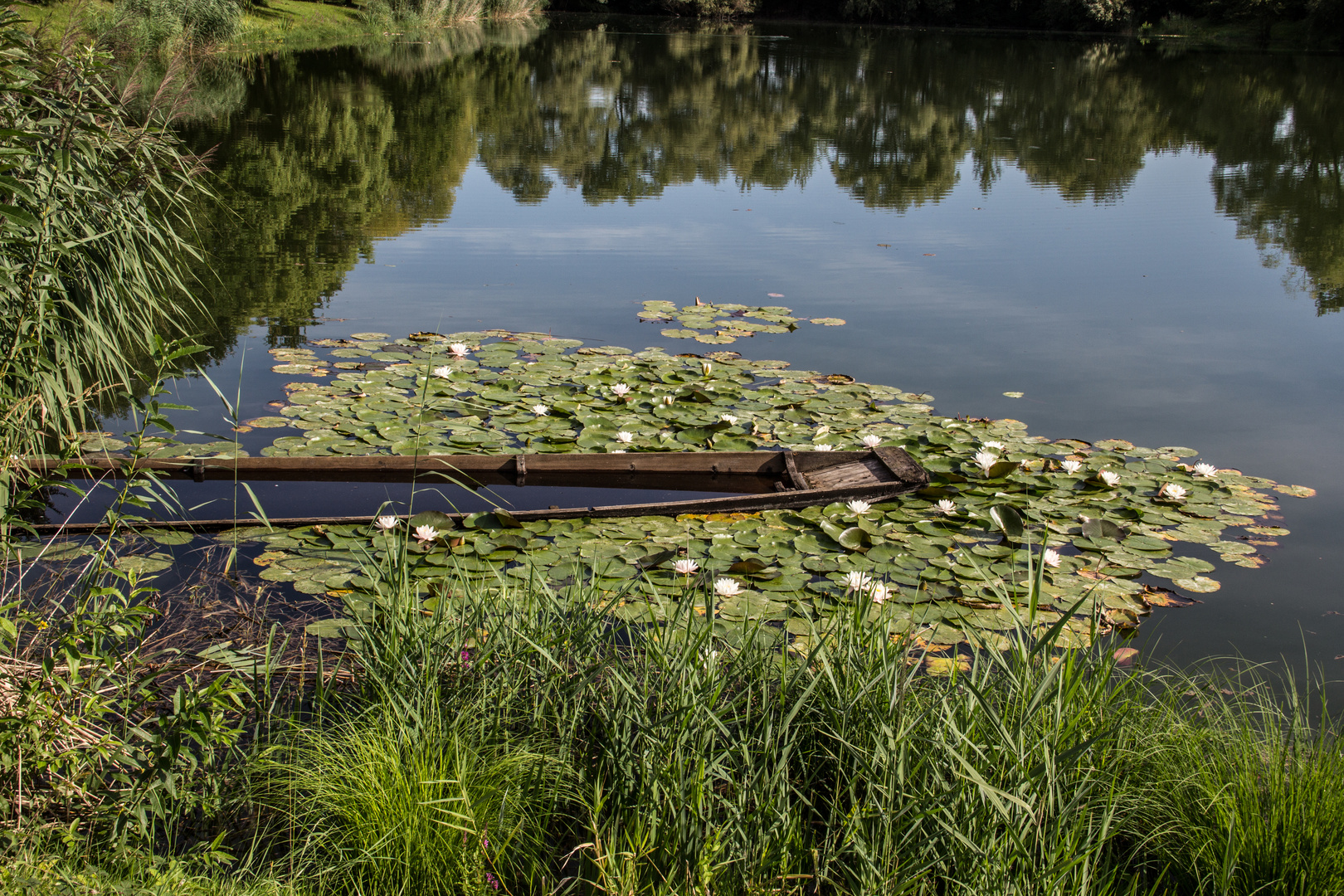 "Seerosenboot"