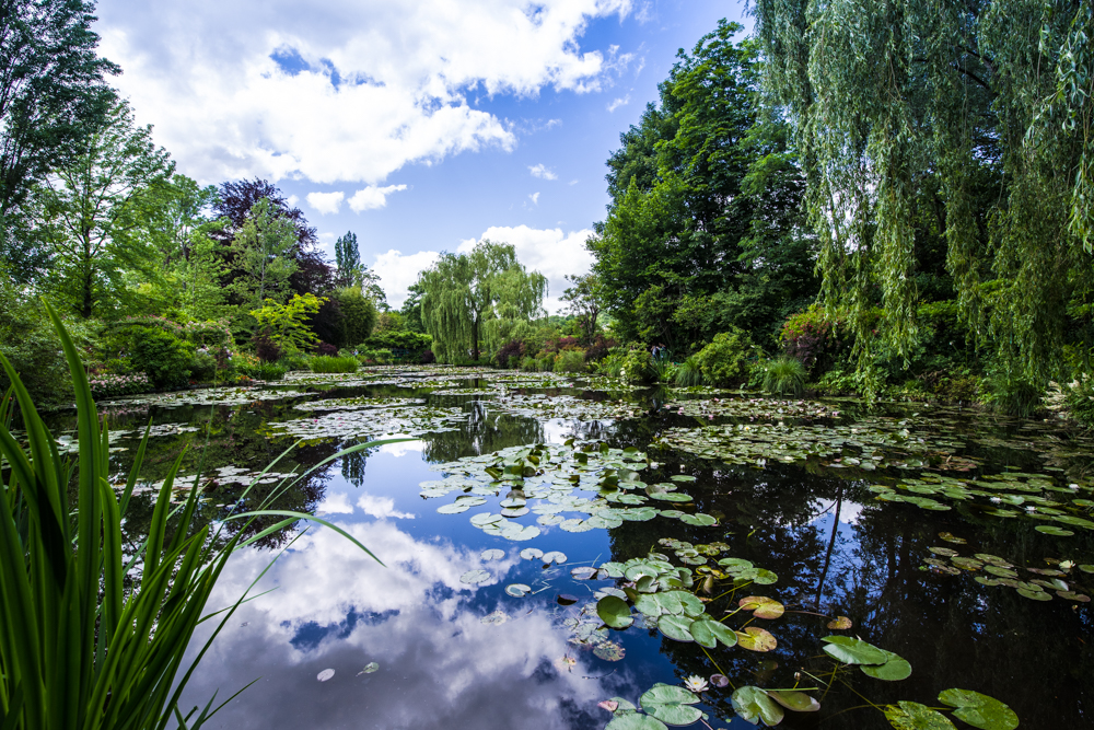 Seerosengarten von Claude Monet