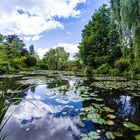 Seerosengarten von Claude Monet