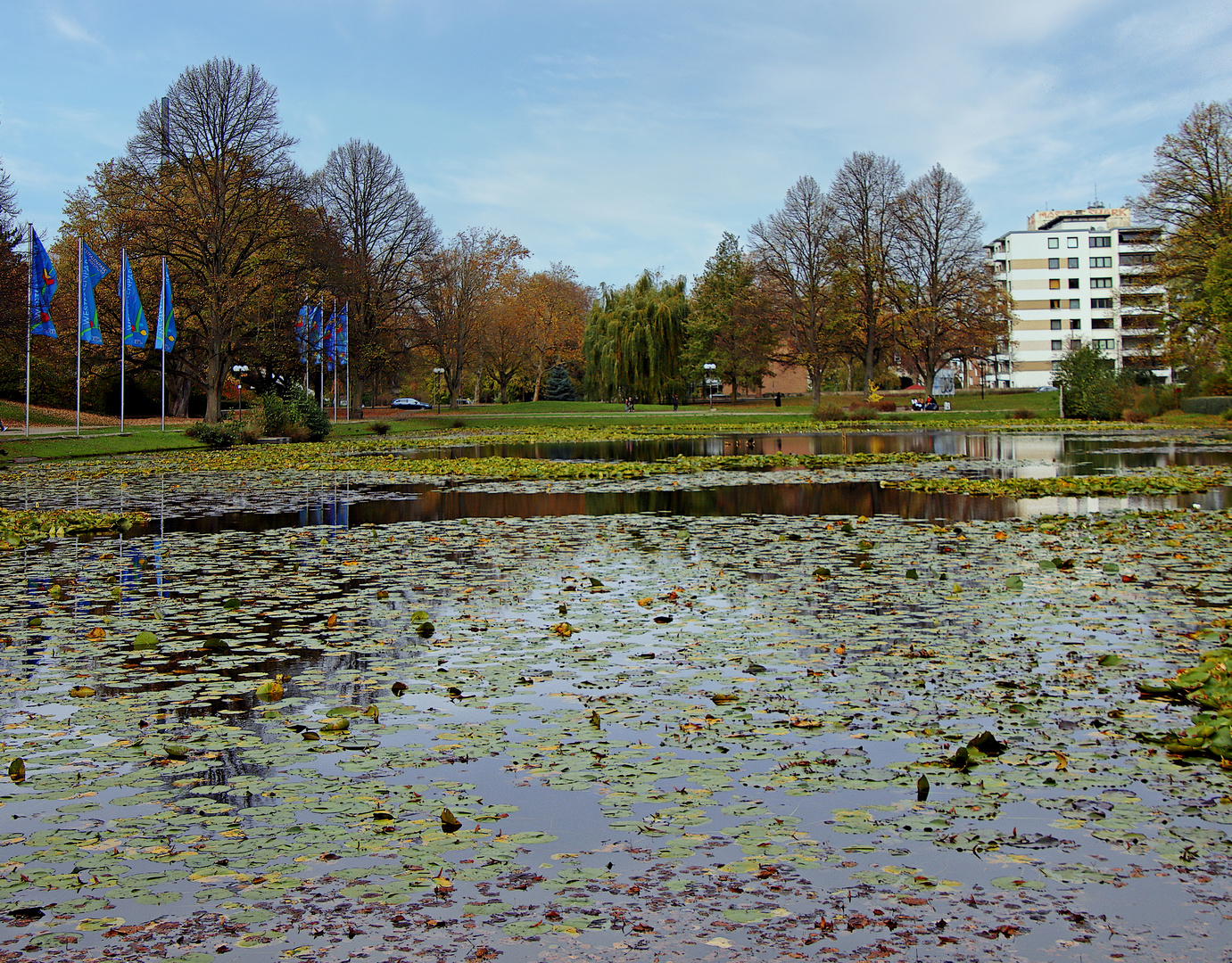 Seerosenteich