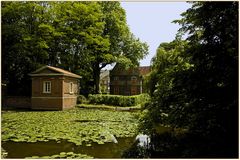 Seerosenteich  bei Schloss Steinfurt in Drensteinfurt.